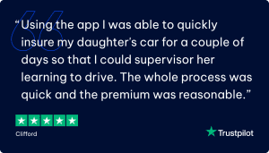 trustpilot instructor 3