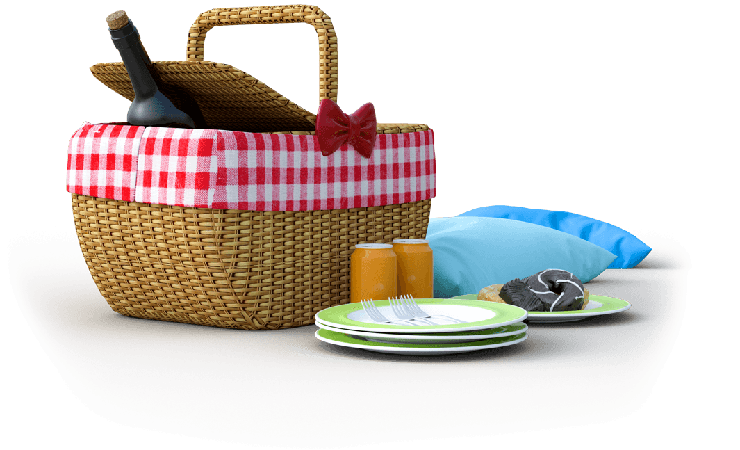 Dayinsure picnic