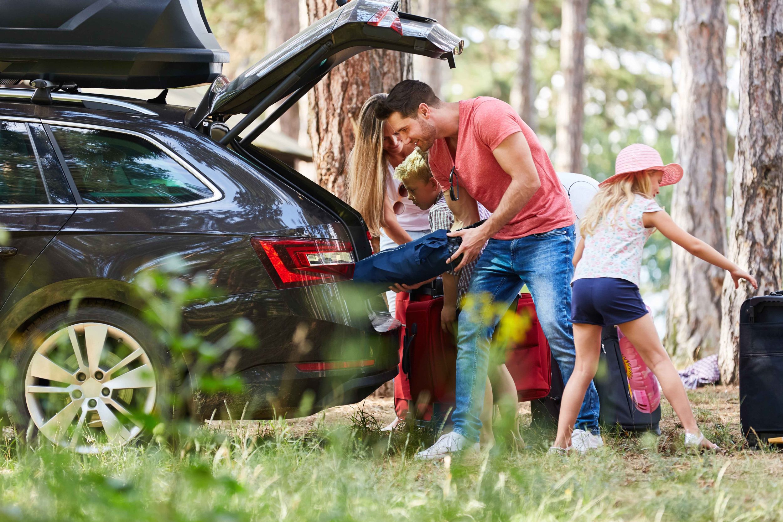 Your guide to buying a family car