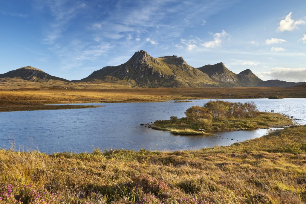 Ben Loyal