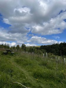 woodland trust smithills estate