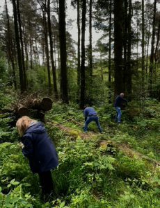 balsam bashing woodland trust