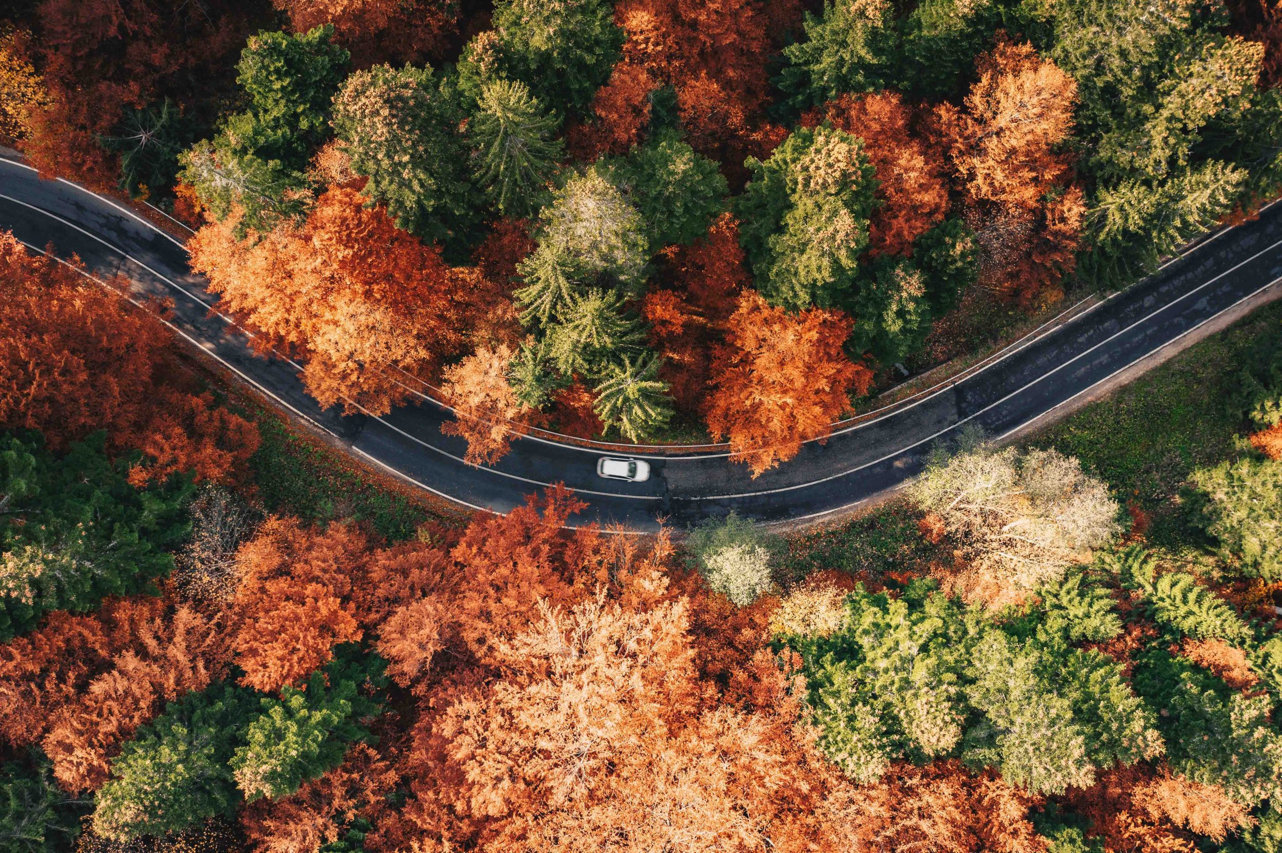 Top 5 autumn road trips